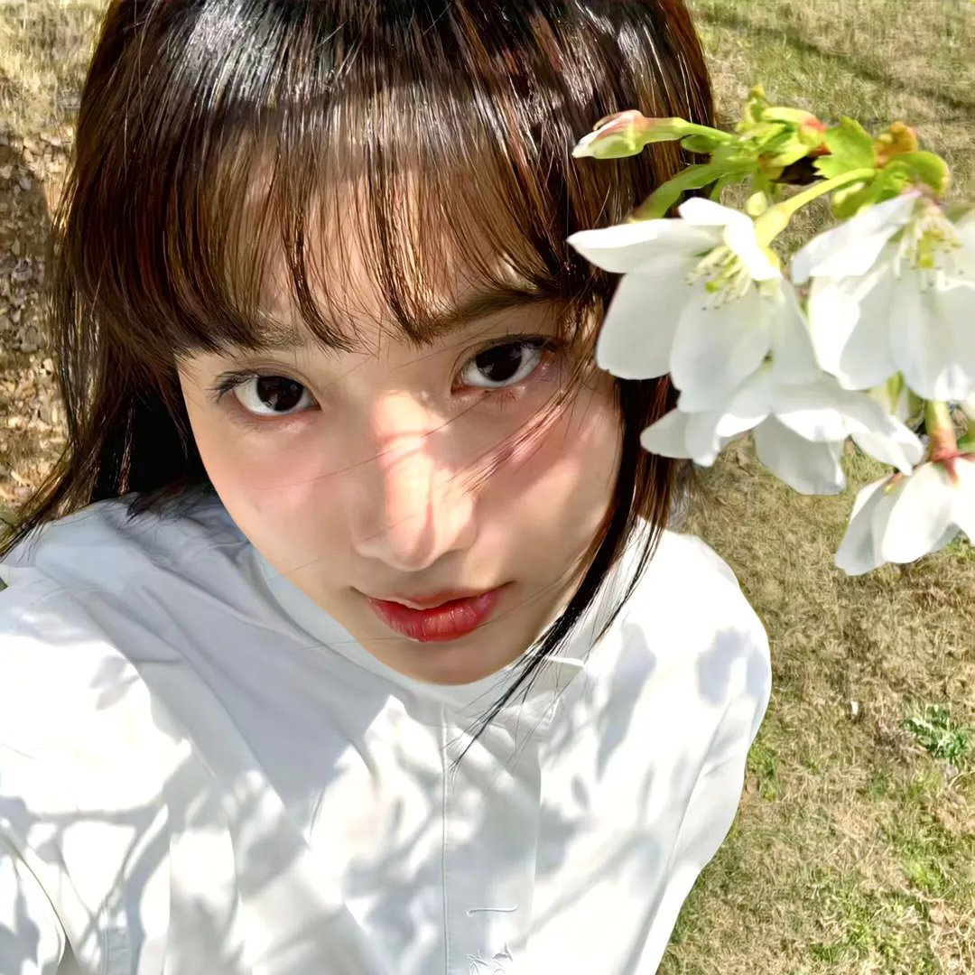 寅次郎的故事11：寅次郎勿忘我